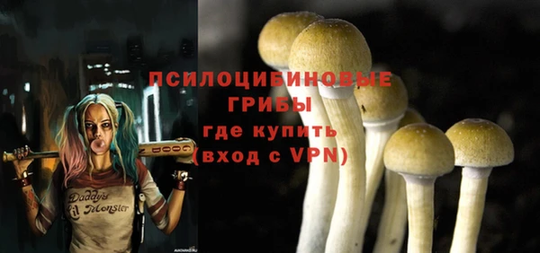 первитин Армянск